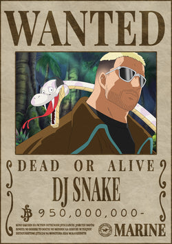 Poster Wanted Dj Snake - Martin Facteur